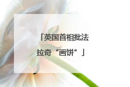 英国首相批法拉奇“画饼”